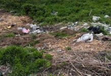 На Одещині люди засмітили берег лиману: втрутилися екологи