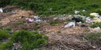 На Одещині люди засмітили берег лиману: втрутилися екологи