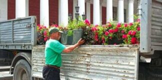 Одесу прикрашають підвісними квітковими вазами: де вже з’явилося озеленення