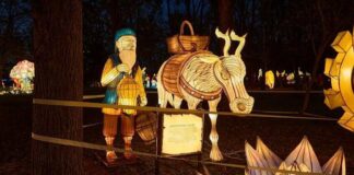 В Одесі відкриють масштабний Парк ліхтарів: що побачать відвідувачі