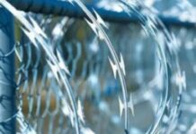 Ув’язненого змушували прикидатися собакою: в Одеському СІЗО відсторонили керівництво