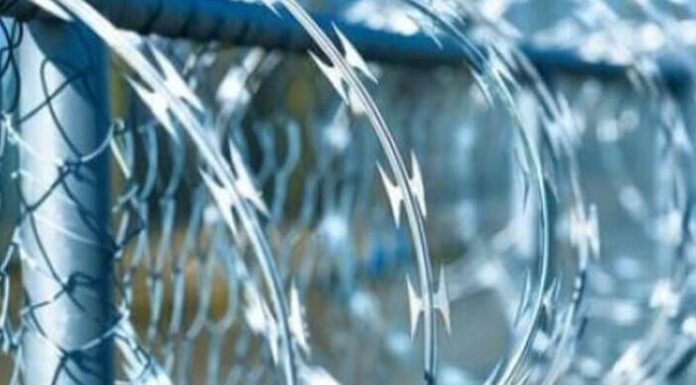 Ув’язненого змушували прикидатися собакою: в Одеському СІЗО відсторонили керівництво