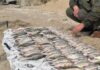 Браконьєрський улов біля Одеської області оцінили у понад 200 тисяч гривень, — ФОТО