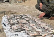 Браконьєрський улов біля Одеської області оцінили у понад 200 тисяч гривень, — ФОТО