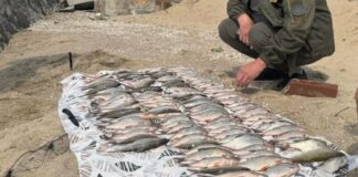 Браконьєрський улов біля Одеської області оцінили у понад 200 тисяч гривень, — ФОТО