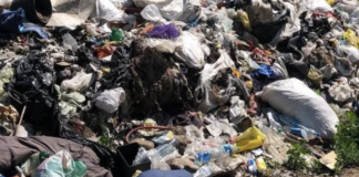 Пам’ятку культурної спадщини на Одещині засмітили відходами