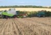 Без дозволів зайняв 119 гектарів землі: на Одещині судитимуть директора фермерського господарства