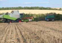 Без дозволів зайняв 119 гектарів землі: на Одещині судитимуть директора фермерського господарства