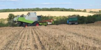 Без дозволів зайняв 119 гектарів землі: на Одещині судитимуть директора фермерського господарства