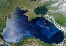 россия атаковала дронами связанное с Германией грузовое судно близ Одессы