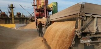 Аграрии на оккупированных территориях не могут вывезти зерно из-за отказа перевозчиков — ЦНС