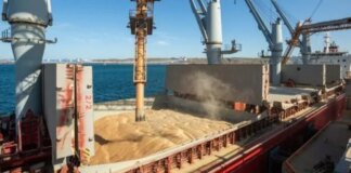 Экспорт зерна из Украины сталкивается с новыми ограничениями из-за рекордно низкого уровня воды в Дунае — СМИ