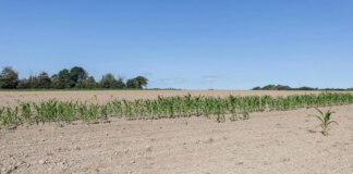 Рекордно жаркое лето обойдется экономике ЕС в €180 млрд