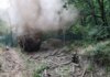 Произошло 170 боевых столкновений, враг запустил 6,3 тыс. дронов — Генштаб о ситуации на фронте