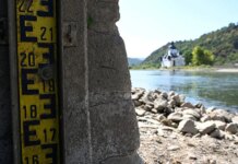 Обмеление Рейна привело к росту цен на топливо в Германии