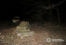 Хотіли заробити на дубах, а отримали вирок: на Одещині суд покарав «чорних лісорубів»