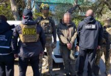«Данина» щомісяця та план на 100 тисяч: на Одещині судитимуть керівника лісгоспу