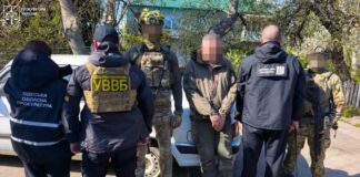 «Данина» щомісяця та план на 100 тисяч: на Одещині судитимуть керівника лісгоспу