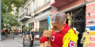 Пережив російський удар: в Одесі з-під завалів врятували кота