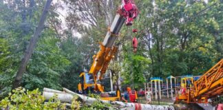 В Одесі ліквідували наслідки буревію: вітер повалив більше 10 дерев