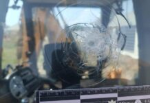 Стріляв у повітря та по екскаватору: на Одещині затримали 59-річного хулігана