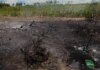 В Україні за тиждень через ворожі атаки вигоріли 84 гектари лісу