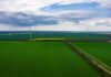 IFC надасть Elementum Energy EUR60 млн на дві нові ВЕС в Україні загальною потужністю 257,6 МВт