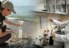 Сірководень, жири та масла: що показали дослідження води на Одещині