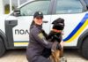 Хаку, Балто та Елтон: в Одесі школярів познайомили із собаками-помічниками поліції